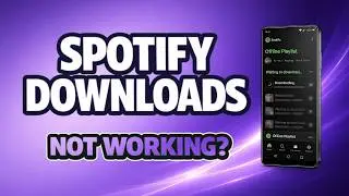 Spotify Downloads Not Working? Fix Offline Music Fast (3-Min Checklist)