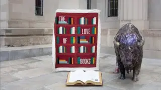 Pattern Release for My Library Quilt and a Name Change!