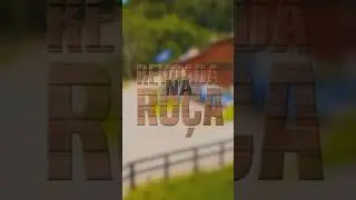 Essa música também te dá vontade de viver intensamente? 🔥#sertanejo #revoadanaroça #JayneMartis