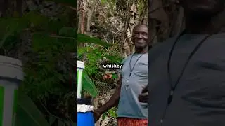 He went blind after drinking this  