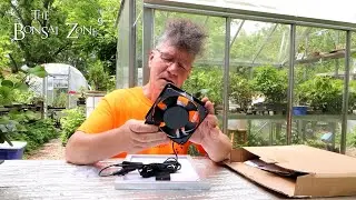 My Last Tree Goes Outside, The Bonsai Zone, June 2022