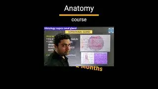 Histology of Suprarenal Gland | Anatomy | Short video