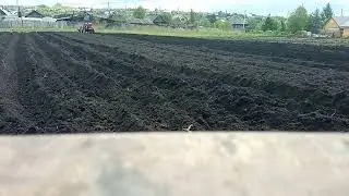 Агромаш МТ 110 . Нарезка борозд под картофель.