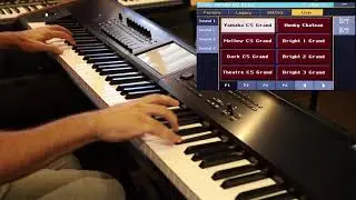Salamander Pianos Yamaha C5 88 Keys (Korg Pa4x)