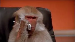 La cena con la suocera