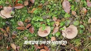 2024년 11월 9일