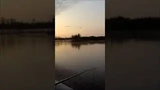 ПОПЛА - ПОППЕР. ЛОВЛЯ КРАСНОПЕРКИ. 
