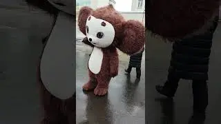 кирилл чемпион