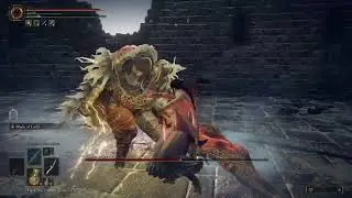 [Elden Ring] Commander Niall (No Damage/2h Melee/No Parry)