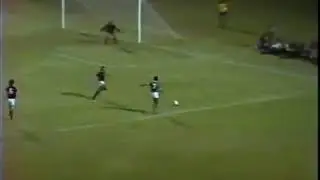 Ademir da Guia - Palmeiras 2x1 Juventus (1975)