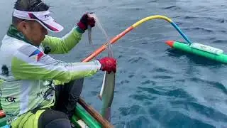 Thresher shark catch and release