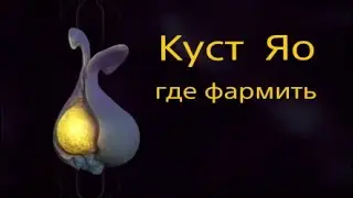 Куст Яо | где фармить | варфрейм | warframe