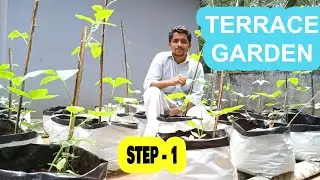 TERRACE GARDENING DETAILS-MALAYALAM TIPS/STEP BY STEP FOR BEGINNERS/KERALA- ENTE KRISHI