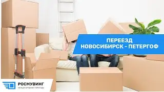 Переезд из г. Новосибирск - г. Петергоф #грузоперевозки #квартирныйпереезд #переездбезхлопот