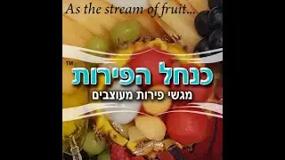 כנחל הפירות - מגשי פירות מעוצבים לאירוח מושלם