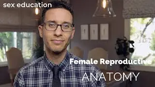 Doctor discusses Female Reproductive Anatomy - sex education