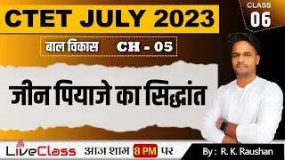 जीन पियाजे का सिद्धांत | Piyaje ka sidhant | CDP Chapter - 5 | Rajan Kumar Raushan | RKR STUDY