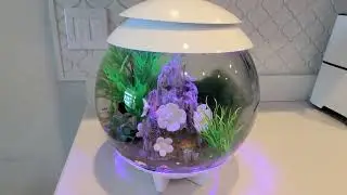 biOrb Halo 15L Update