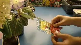 🌼Абутилон комнатный, правильный посев семян. Это не важно🌼 🌱