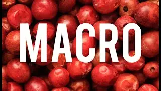Macro Photography - Getting Started