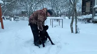 МОЛОДАЯ СЕМЬЯ ПЕРЕЕХАЛА В ЗАБРОШЕННУЮ ДЕРЕВНЮ ! НАША ЖИЗНЬ В ДЕРЕВНЕ!