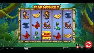 Crypto Casino Slots | 2022 review - Mad Monkey