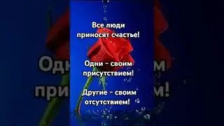 Мудрые слова