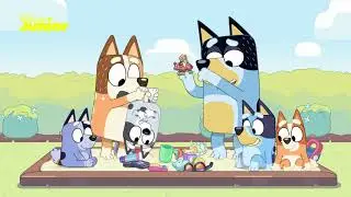 Backpackers 🎒 | Bluey 💙 | Disney Junior Arabia