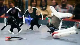 Stratus - All Fights | BBB Beetle Brawl 2025