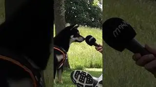 Viele Hunde, viele Reichsbürger in Bayern, Zufall?