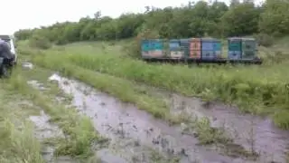 Поездка на медосбор