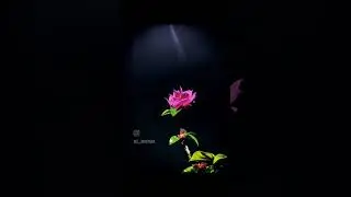 I see the light Cover 2Short 