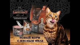 Немецкий корм для кошек Leonardo | Вебинар 2016