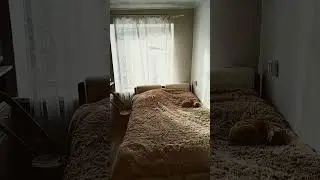 Оповещения о моих видео на канале.