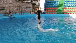 Вдог: Сочи Адлер