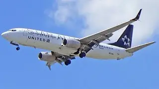 STAR ALLIANCE | United Boeing 737-800 Landing at Newark Liberty Airport (HD Plane Spotting)