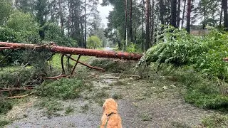 Jūrmala after the storm 29 July 2024