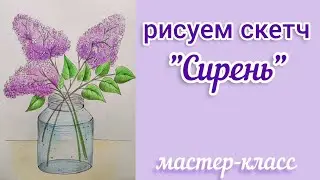 Скетч 