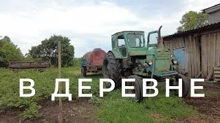 Летом в деревне