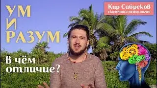 Отличие УМА и РАЗУМА I Кир Сабреков (ум и разум)