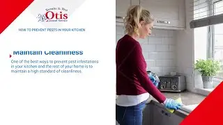 How to Prevent Pests in Your Kitchen