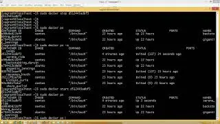 DevOps Docker Day2 | Docker Full Course PART | Learn Docker | Docker Tutorial For Beginners