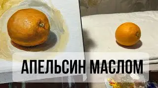 Урок маслом для начинающих / Пишем быстрый этюд апельсина маслом / Основы светотени