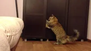 Очень нужно в шкаф