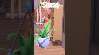 Faire une ÉCHOGRAPHIE dans les Sims 4 