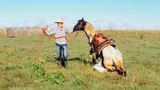 Wild Horse Nearly RAN ME OVER! | Taming A Wild Horse [EP9]