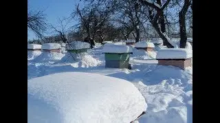 Закрытие пчеловодного сезона 2018
