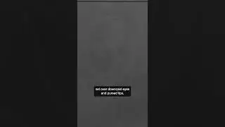 John Edmonds "Untitled 4 (Facial Expression)" (2018) #art #shorts #guggenheim #nyc