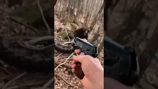 Нужен ли травмат? Встреча с медведем 
