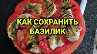 закваска пропала| хлеб с морковкой| песто из базилика